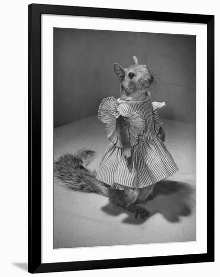 Squirrel Wearing a Baby Doll's Dress-Nina Leen-Framed Photographic Print