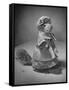 Squirrel Wearing a Baby Doll's Dress-Nina Leen-Framed Stretched Canvas