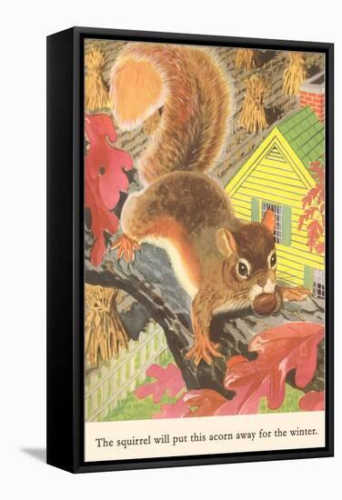 Squirrel with Acorn-null-Framed Stretched Canvas