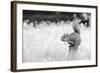 Squirrel-Giuseppe Torre-Framed Photographic Print