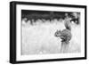 Squirrel-Giuseppe Torre-Framed Photographic Print