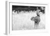 Squirrel-Giuseppe Torre-Framed Photographic Print