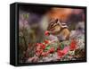 Squirrel-WizData-Framed Stretched Canvas