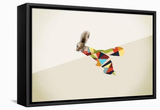 Squirrel-Jason Ratliff-Framed Stretched Canvas