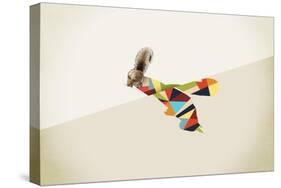 Squirrel-Jason Ratliff-Stretched Canvas