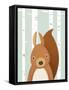 Squirrel-Martin Wickstrom-Framed Stretched Canvas