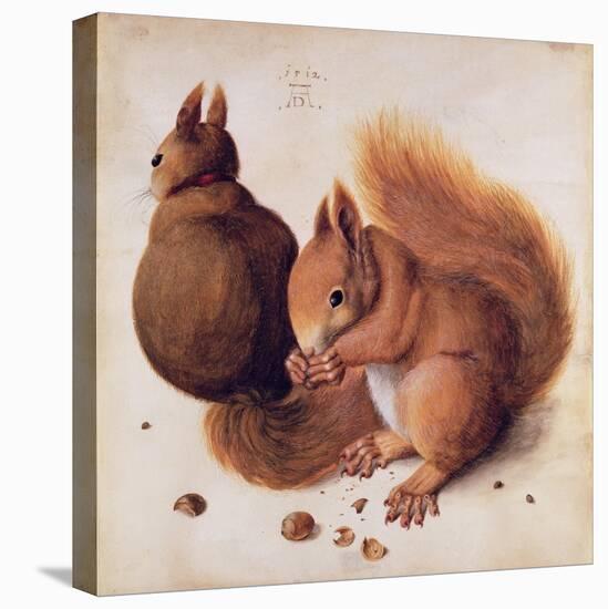 Squirrels, 1512-Albrecht Dürer-Stretched Canvas