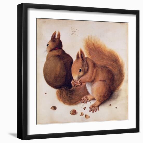 Squirrels, 1512-Albrecht Dürer-Framed Giclee Print