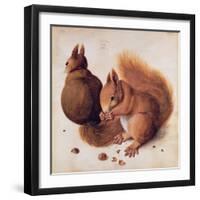 Squirrels, 1512-Albrecht Dürer-Framed Giclee Print