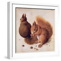 Squirrels, 1512-Albrecht Dürer-Framed Giclee Print