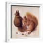 Squirrels, 1512-Albrecht Dürer-Framed Giclee Print