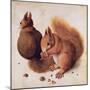 Squirrels, 1512-Albrecht Dürer-Mounted Premium Giclee Print