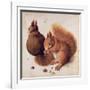 Squirrels, 1512-Albrecht Dürer-Framed Giclee Print