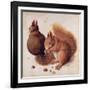 Squirrels, 1512-Albrecht Dürer-Framed Giclee Print