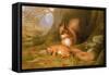 Squirrels in a Wood-Robert Collinson-Framed Stretched Canvas