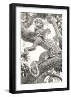 Squirrels in Tree-null-Framed Art Print