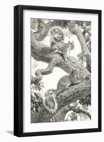 Squirrels in Tree-null-Framed Art Print
