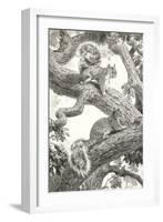 Squirrels in Tree-null-Framed Art Print