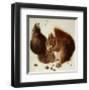 Squirrels-Albrecht Dürer-Framed Art Print