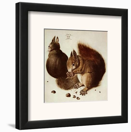 Squirrels-Albrecht Dürer-Framed Art Print