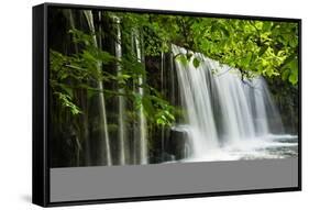 Sqwd Ddwli Waterfall, Brecon Beacons, Wales, United Kingdom, Europe-Billy-Framed Stretched Canvas