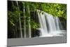 Sqwd Ddwli Waterfall, Brecon Beacons, Wales, United Kingdom, Europe-Billy-Mounted Photographic Print