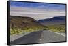 SR 190 Climbing Up from Death Valley, Mojave Desert, California-David Wall-Framed Stretched Canvas