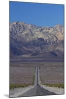 SR 190 Through Death Valley NP, Mojave Desert, California-David Wall-Mounted Photographic Print