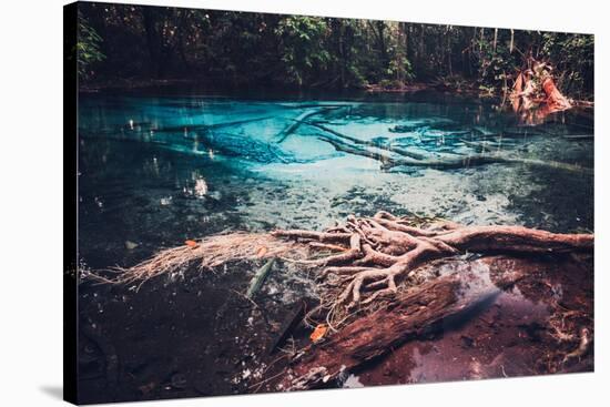 Sra Morakot Blue Pool at Krabi Province, Thailand. Clear Emerald Pond in Tropical Forest. the Roots-goinyk-Stretched Canvas