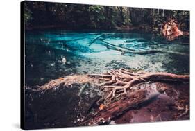 Sra Morakot Blue Pool at Krabi Province, Thailand. Clear Emerald Pond in Tropical Forest. the Roots-goinyk-Stretched Canvas