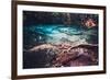 Sra Morakot Blue Pool at Krabi Province, Thailand. Clear Emerald Pond in Tropical Forest. the Roots-goinyk-Framed Photographic Print