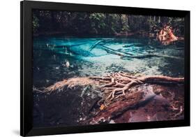 Sra Morakot Blue Pool at Krabi Province, Thailand. Clear Emerald Pond in Tropical Forest. the Roots-goinyk-Framed Photographic Print