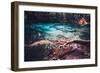 Sra Morakot Blue Pool at Krabi Province, Thailand. Clear Emerald Pond in Tropical Forest. the Roots-goinyk-Framed Photographic Print