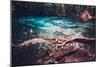 Sra Morakot Blue Pool at Krabi Province, Thailand. Clear Emerald Pond in Tropical Forest. the Roots-goinyk-Mounted Photographic Print
