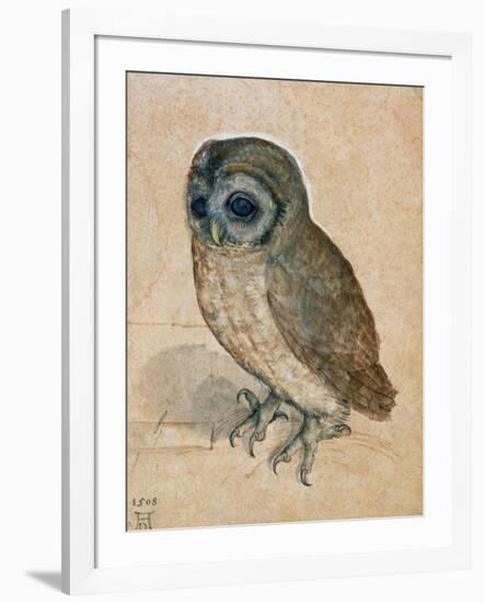 Sreech-Owl, 1508-Albrecht Dürer-Framed Giclee Print