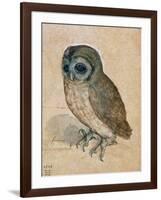 Sreech-Owl, 1508-Albrecht Dürer-Framed Giclee Print