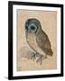 Sreech-Owl, 1508-Albrecht Dürer-Framed Giclee Print