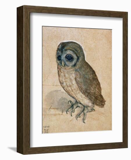 Sreech-Owl, 1508-Albrecht Dürer-Framed Giclee Print