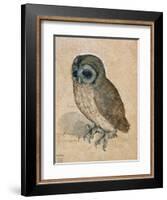 Sreech-Owl, 1508-Albrecht Dürer-Framed Giclee Print