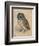 Sreech-Owl, 1508-Albrecht Dürer-Framed Giclee Print