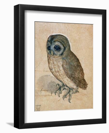 Sreech-Owl, 1508-Albrecht Dürer-Framed Giclee Print