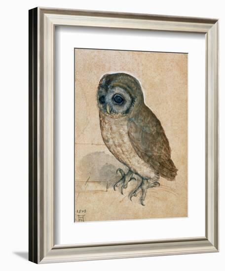 Sreech-Owl, 1508-Albrecht Dürer-Framed Giclee Print