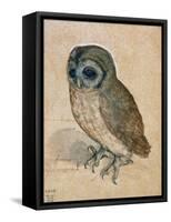 Sreech-Owl, 1508-Albrecht Dürer-Framed Stretched Canvas