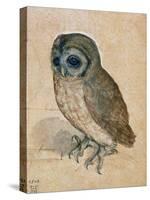 Sreech-Owl, 1508-Albrecht Dürer-Stretched Canvas