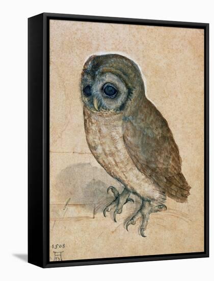 Sreech-Owl, 1508-Albrecht Dürer-Framed Stretched Canvas
