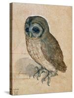 Sreech-Owl, 1508-Albrecht Dürer-Stretched Canvas