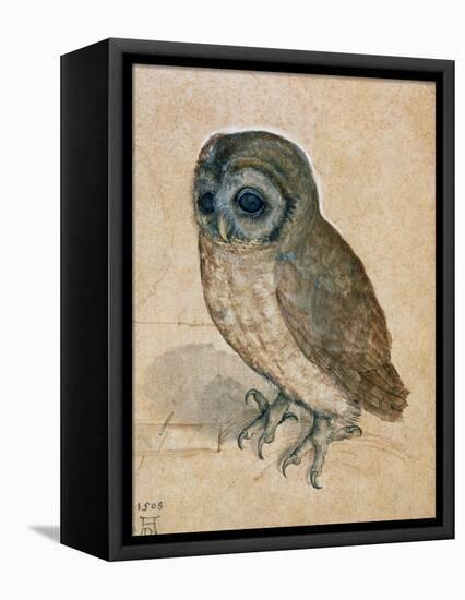 Sreech-Owl, 1508-Albrecht Dürer-Framed Stretched Canvas