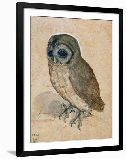 Sreech-Owl, 1508-Albrecht Dürer-Framed Giclee Print