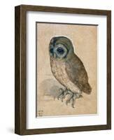 Sreech-Owl, 1508-Albrecht Dürer-Framed Premium Giclee Print