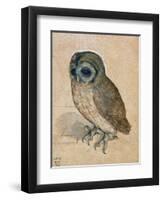 Sreech-Owl, 1508-Albrecht Dürer-Framed Premium Giclee Print